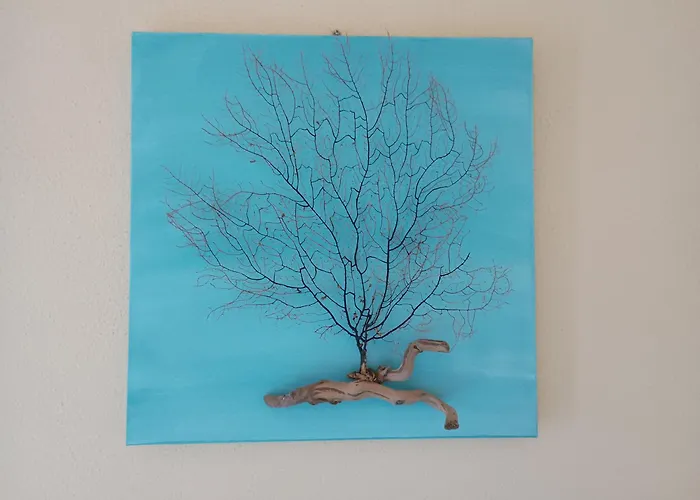 Diana 公寓 布多尼