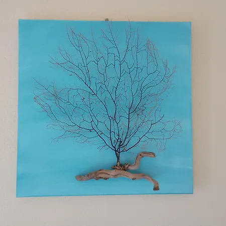 Diana Appartement Budoni